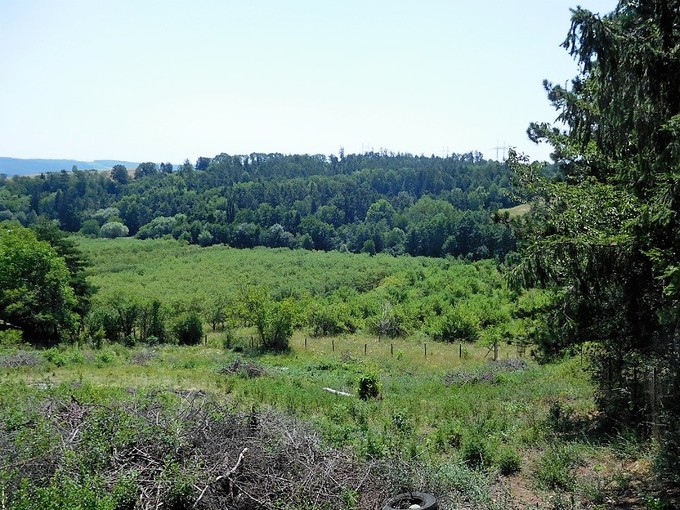 Hlavní obrázek - Pozemek nadaleko Brněnské přehrady 